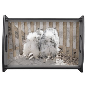 Keeshonds at the Gate Painting - Original Dog Art Serving Tray