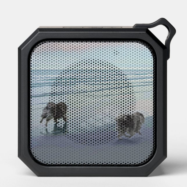 Keeshonds at the Seashore Painting Dog Art Bluetooth Speaker (Front)