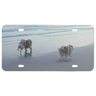 Keeshonds at the Seashore Painting Dog Art License Plate