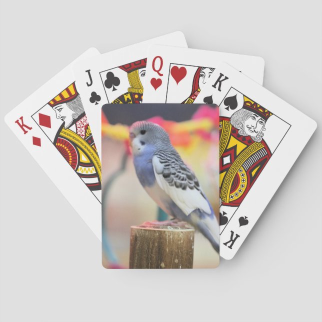 Keet Poker Cards (Back)