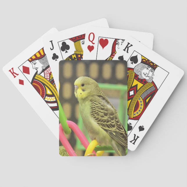 Keet Poker Cards (Back)