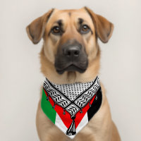 Keffiyeh Palestinian Scarf Traditional Fabric