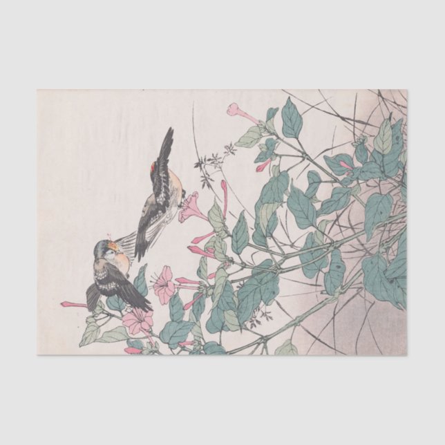 Keinen Kachō Gafu, Pl.23 by Imao Keinen Tissue Paper (Front)