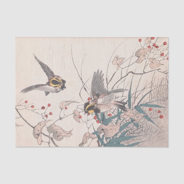 Keinen Kachō Gafu, Pl.27 by Imao Keinen Tissue Paper (Front)