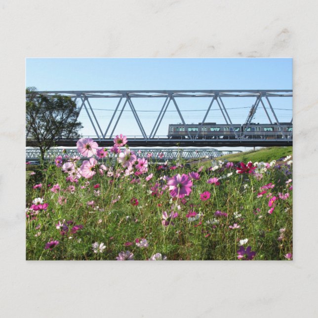 Keisei Train: Edogawa, Tokyo Postcard (Front)