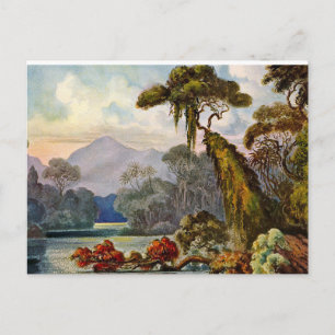 Kelany Ganga Ernst Haeckel Painting 1882 Postcard