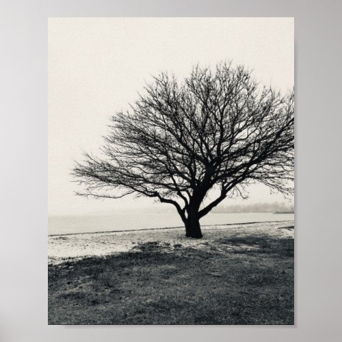 Kelleys Island In Winter I Photography  Poster