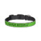 Kelly Green Dog Collar Personalized