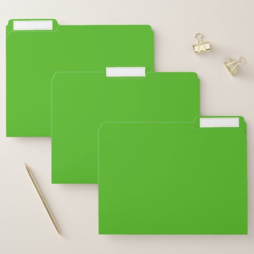 Kelly Green Solid Color File Folder