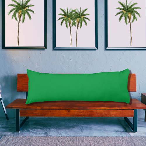 Kelly Green solid color pillow