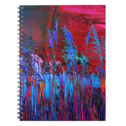 Kelly Nickels Photography  Willows  Weeds Notebook