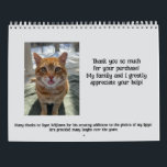 Kellye's Cat Calendar<br><div class="desc">My funny cats are here to help you through 2025!
(All proceeds help pay down my 96-year-old grandmother's medical debt.)</div>