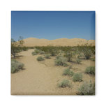 Kelso Dunes at Mojave National Park Magnet