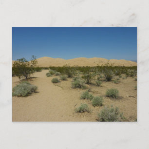 Kelso Dunes at Mojave National Park Postcard