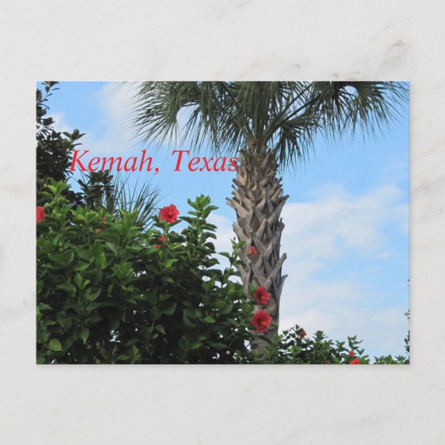 Kemah, Texas-Tropical Palm Postcard (Front)