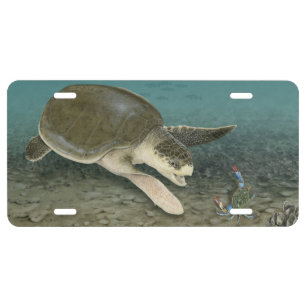 Kemp's Ridley in Habitat License Tag Plate