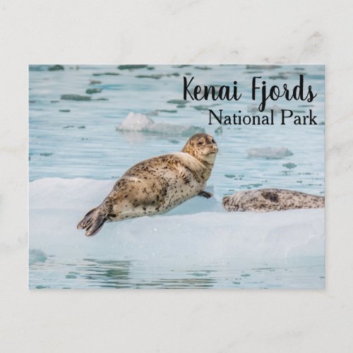 Kenai Fjords National Park Postcard