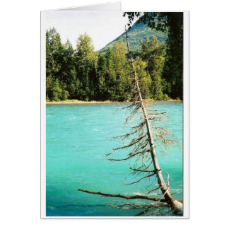 Kenai River Blue Cards