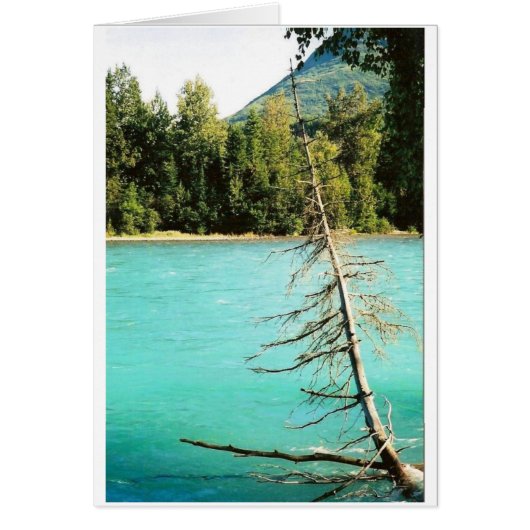 Kenai River Blue Cards (Front)