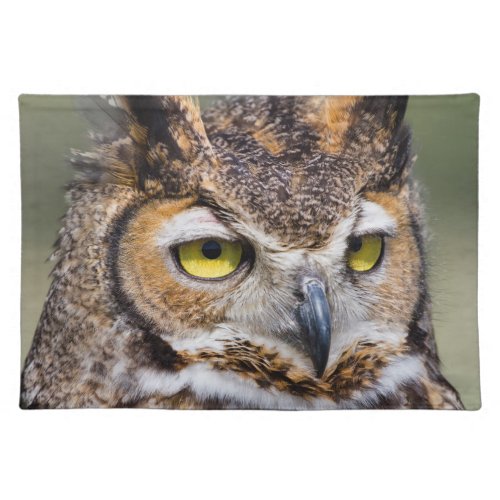 Kendall County Texas Great Horned Owl Cloth Placemat