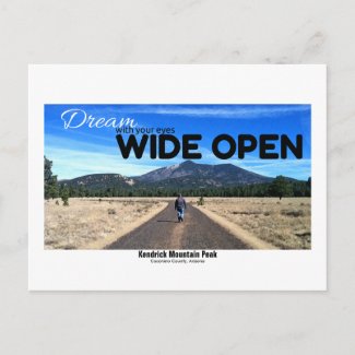 Kendrick Mountain Peak Photo Arizona Travel