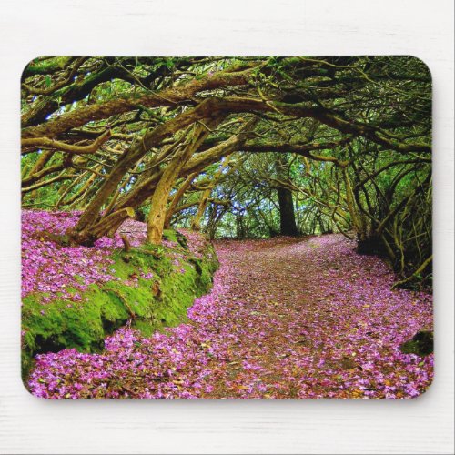 Kenmare Co Kerry Ireland Mousepad