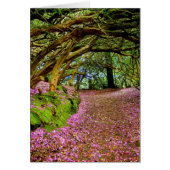 Kenmare Ireland (Front)