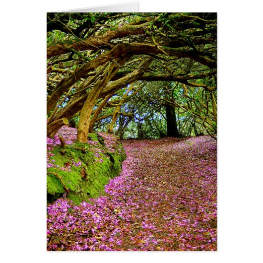 Kenmare Ireland Cards (Front)