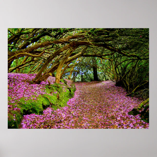 Kenmare Rhododendron Tunnel - The... - Customized Poster