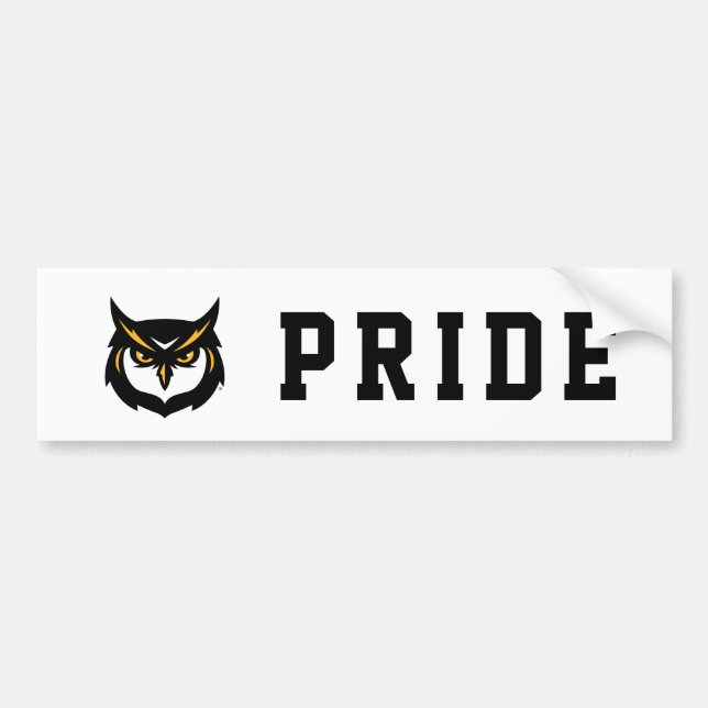 Kennesaw Owl Logo Bumper Sticker (Front)