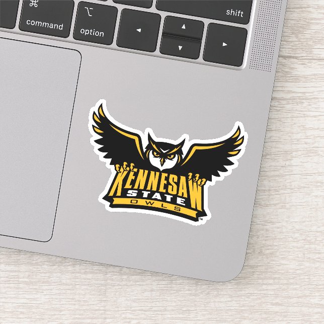 Kennesaw State Owls Sticker (Detail)