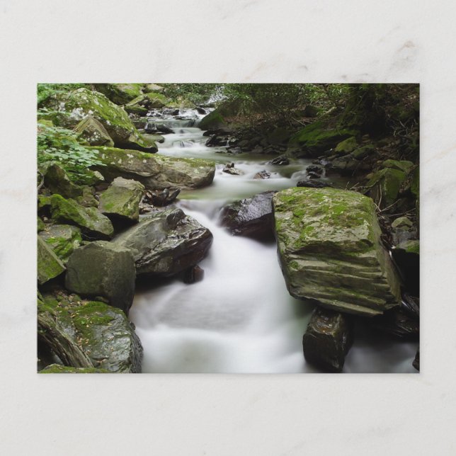Kenny Creek Falls Postcard (Front)
