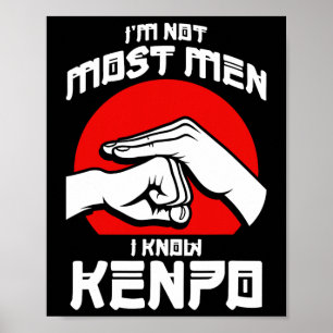 Kenpo Aggressive Self Defense Karate Martial Arts Poster