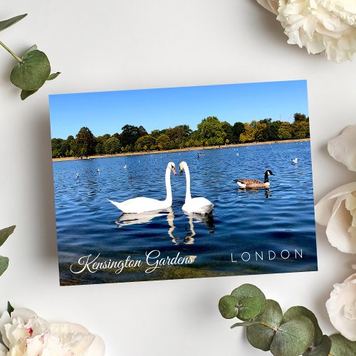 Kensignton Gardens Pond  The royal Park LONDON UK Postcard