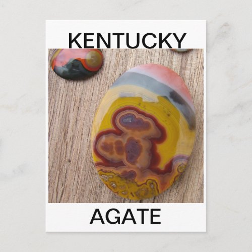 Kentucky Agate for rockhounds Postcard