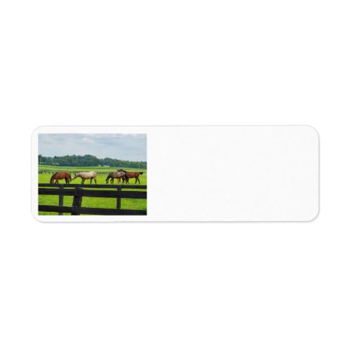 Kentucky Bluegrass address labels