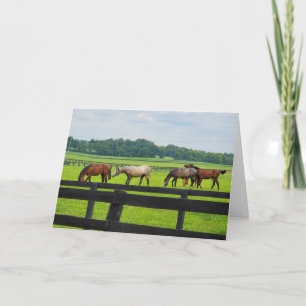 Kentucky Bluegrass card