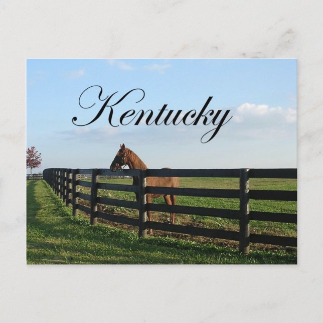 Kentucky Bluegrass Country Postcard (Front)