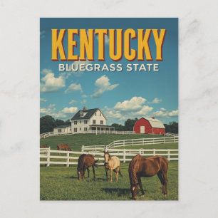 Kentucky Bluegrass State Horse Farm Vintage Travel Postcard