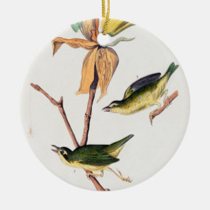 Kentucky Fly-catching Warbler Birds Illustration Ceramic Ornament
