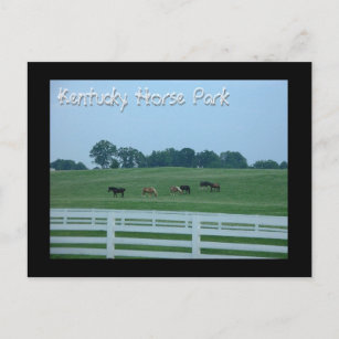Kentucky Horse Park Postcard