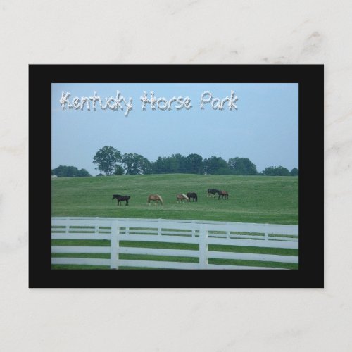 Kentucky Horse Park Postcard