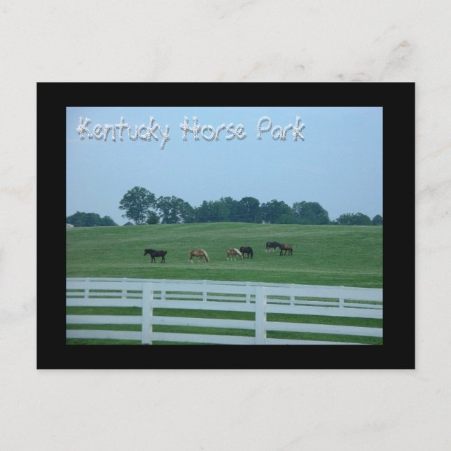 Kentucky Horse Park Postcard (Front)