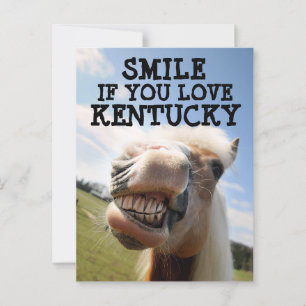 KENTUCKY HORSE Postcard