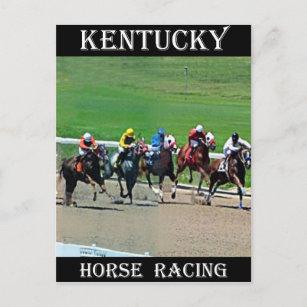 Kentucky Horse Racing Postcard