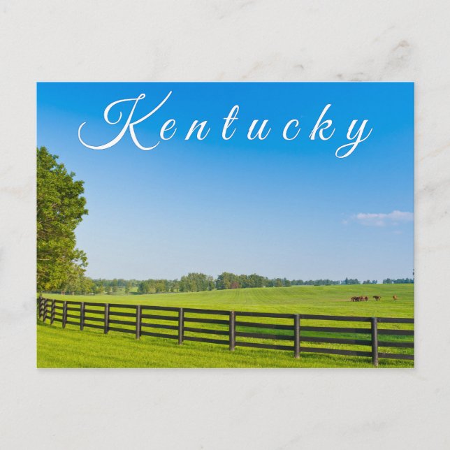 Kentucky Postcard. Countryside landscape. Postcard (Front)