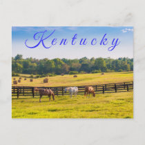 Kentucky Postcard. Horses at horse farm. Postcard