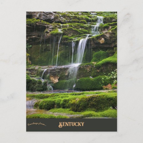 Kentucky River in Kentucky Postcard
