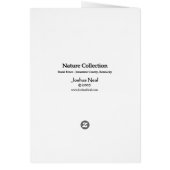 Kentucky road (Back)