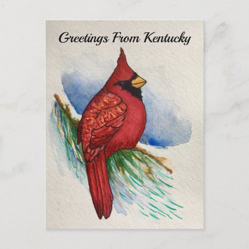 Kentucky State Bird Cardinal Water_colour Postcard